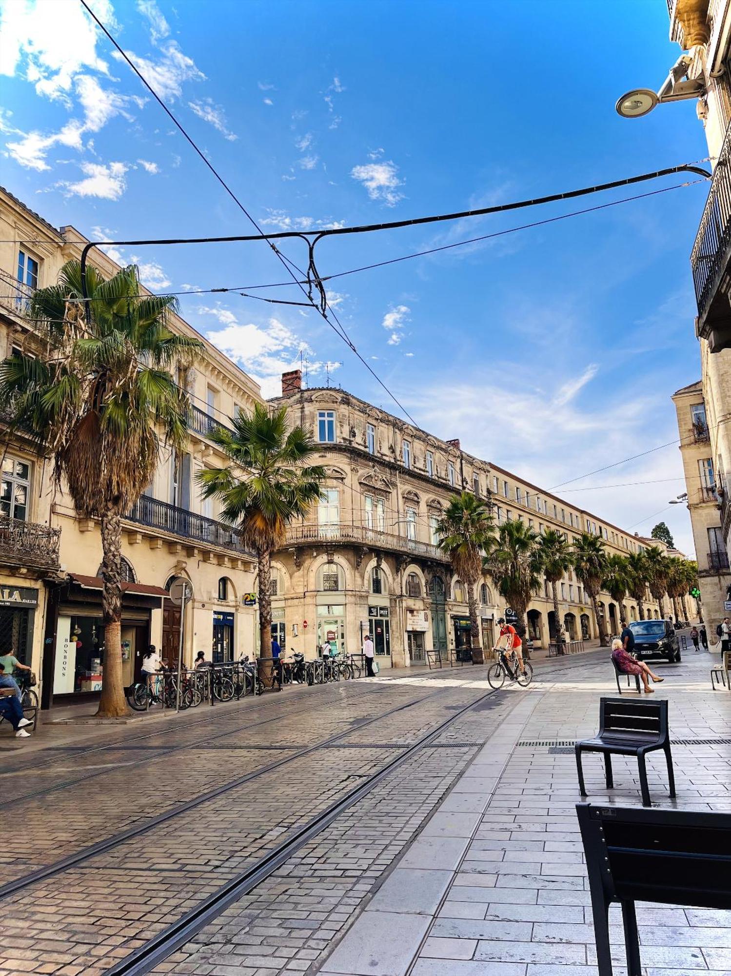 "Cosy Suite" Calme & Lumineuse - Standing, Hyper Centre, Tram, Clim, Wifi Montpellier Exterior foto